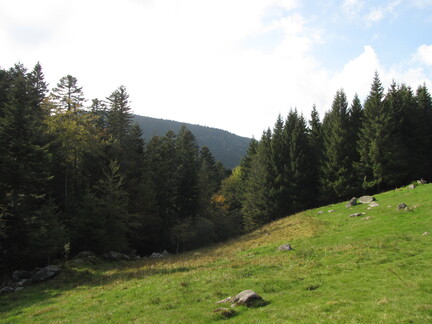 20080926 155717